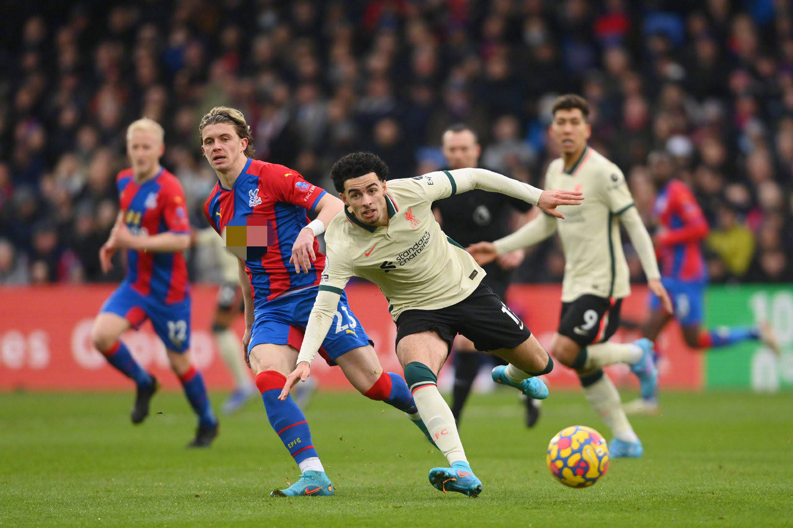 政策的肯定 政策的肯定